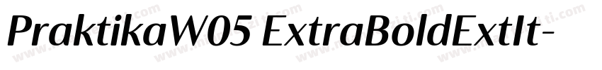 PraktikaW05 ExtraBoldExtIt字体转换